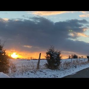 Meet your Posher, Crissie